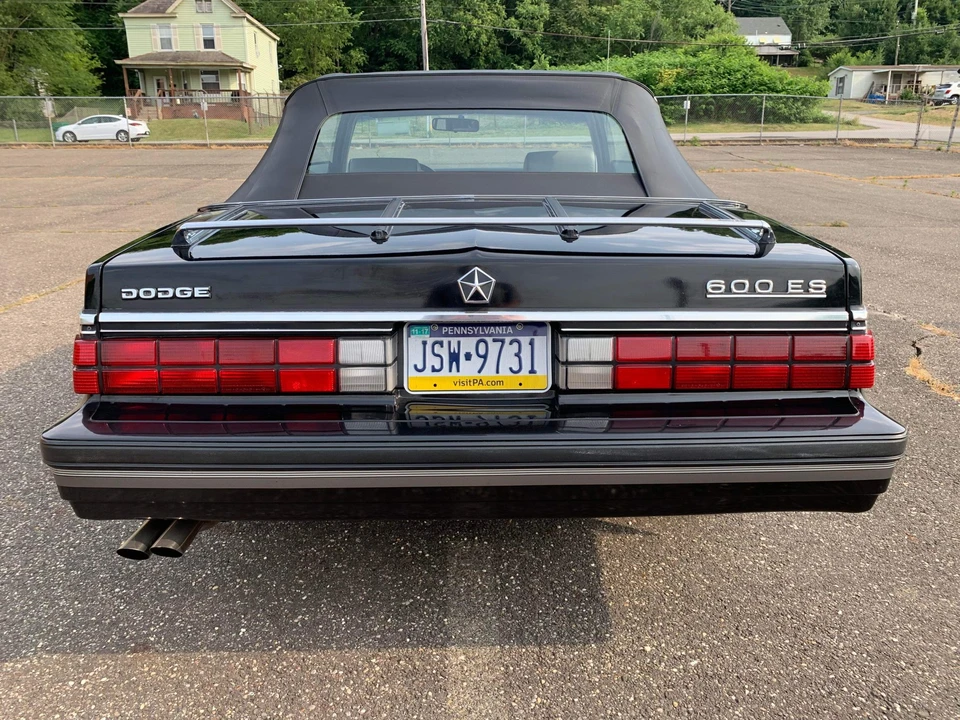 1984 Dodge 600 - Image 13 of 31