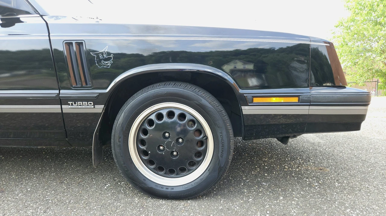 1984 Dodge 600 - Image 28 of 31