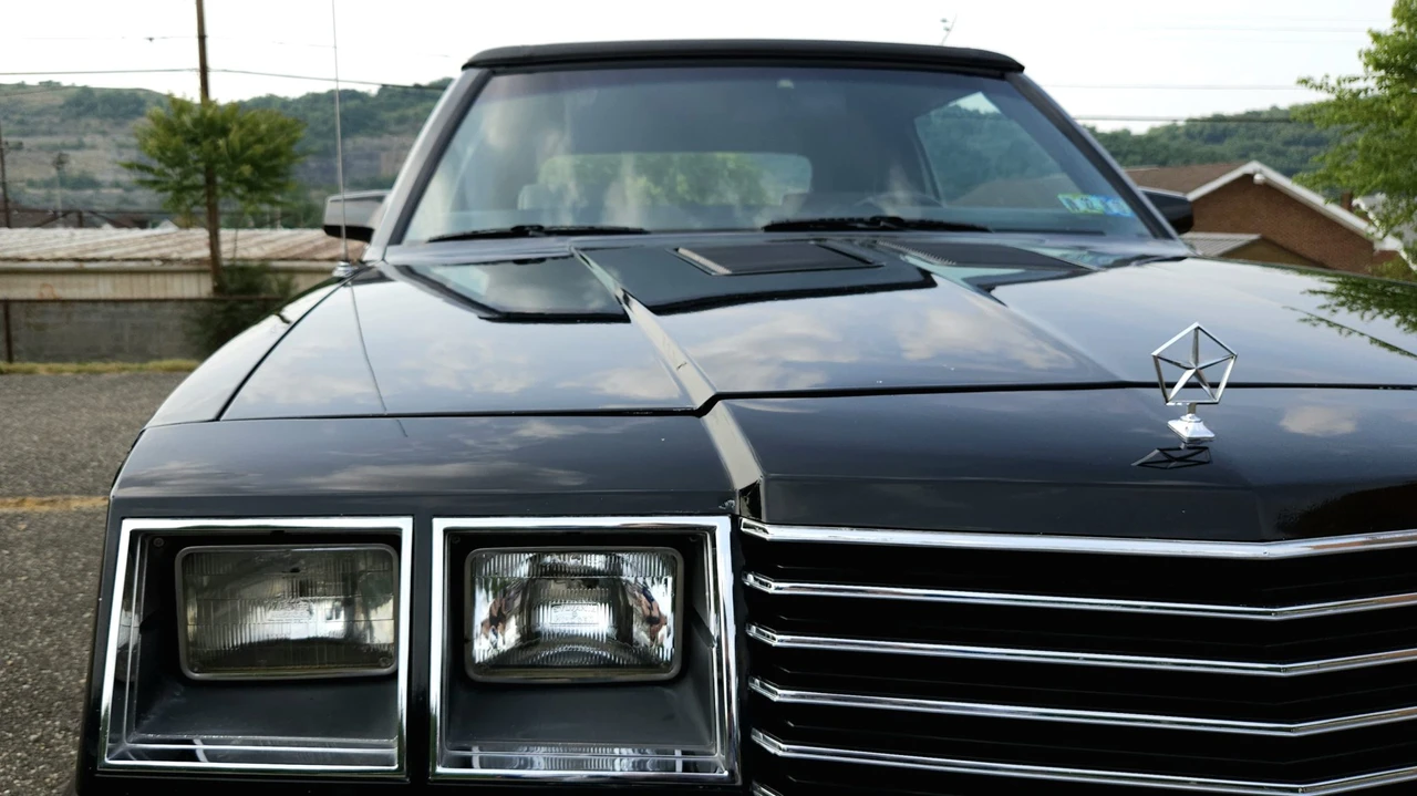 1984 Dodge 600 - Image 23 of 31