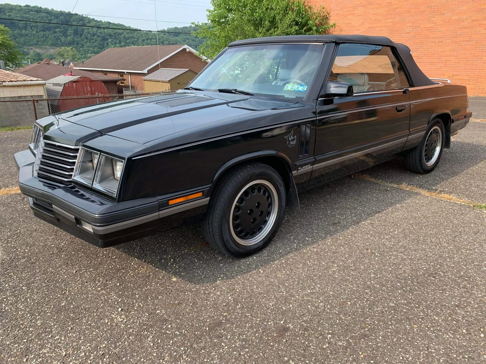 1984 Dodge 600 - Image 3 of 31