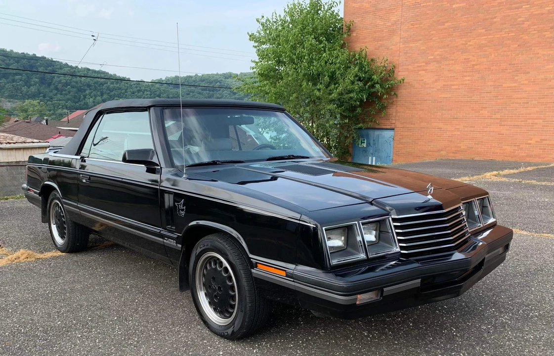 1984 Dodge 600 - Image 8 of 31