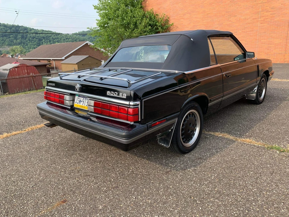 1984 Dodge 600 - Image 11 of 31
