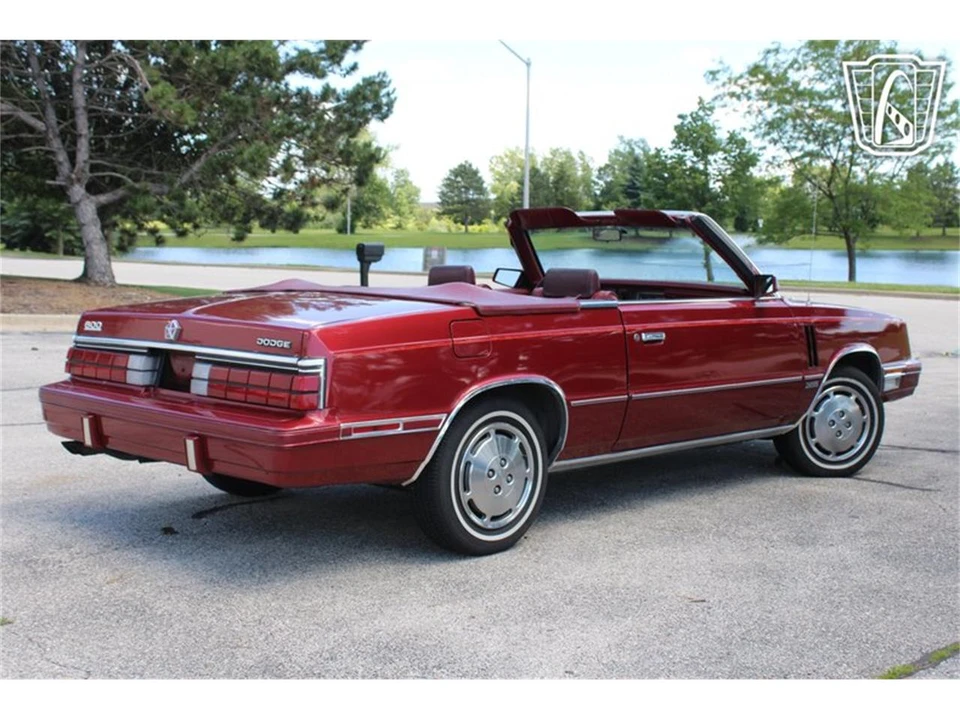 1984 Dodge 600 - Image 8 of 31