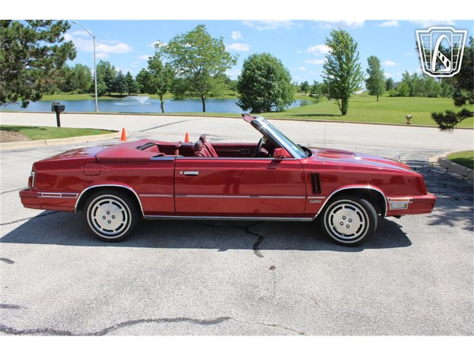1984 Dodge 600 - Image 13 of 31