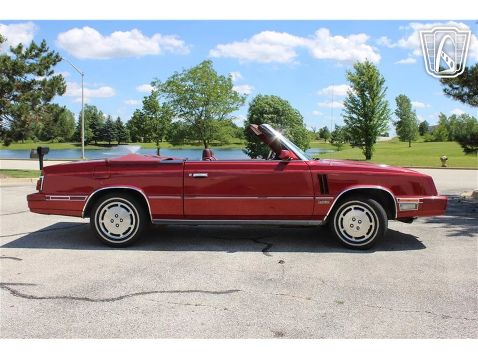 1984 Dodge 600 - Image 14 of 31