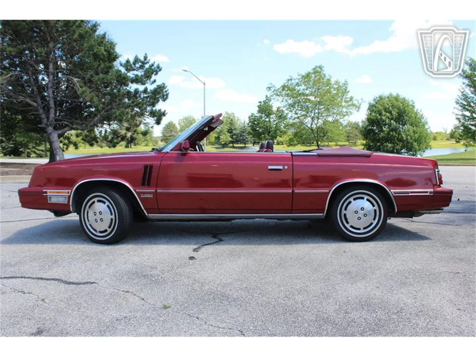 1984 Dodge 600 - Image 5 of 31