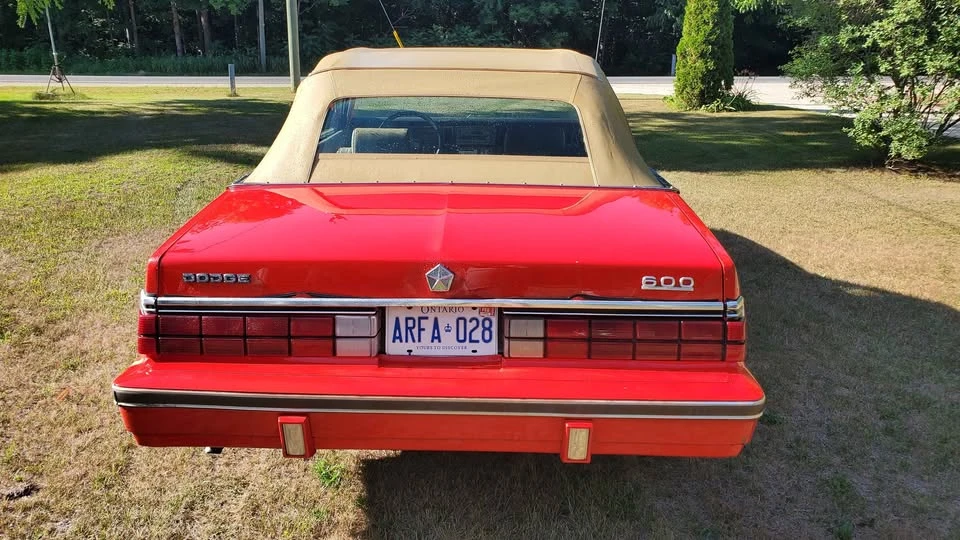 1984 Dodge Colt - Image 2 of 9