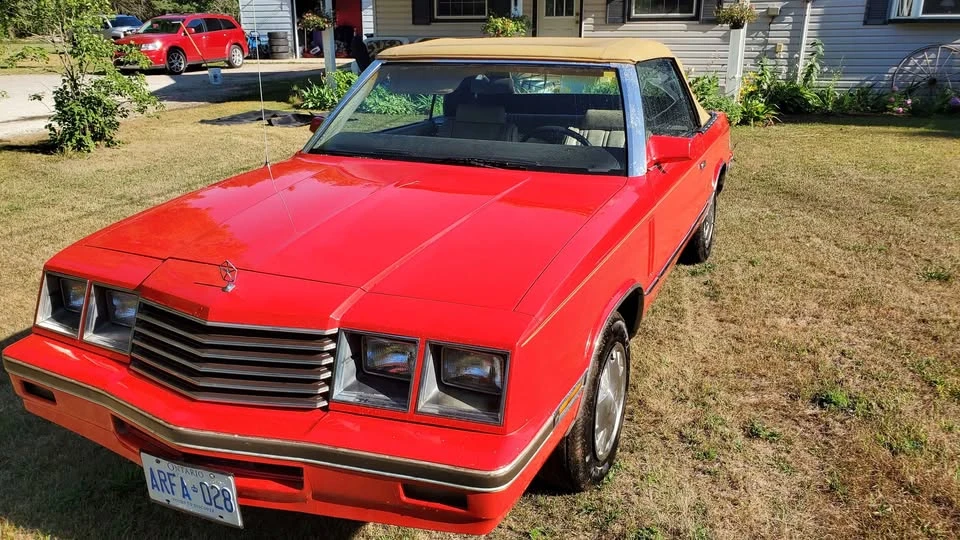 1984 Dodge Colt - Image 8 of 9