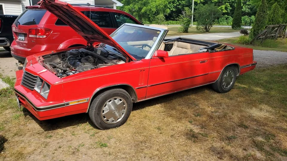 1984 Dodge Colt - Image 4 of 9