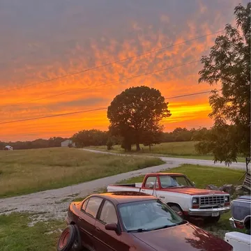 1984 Dodge D-150 Long Bed