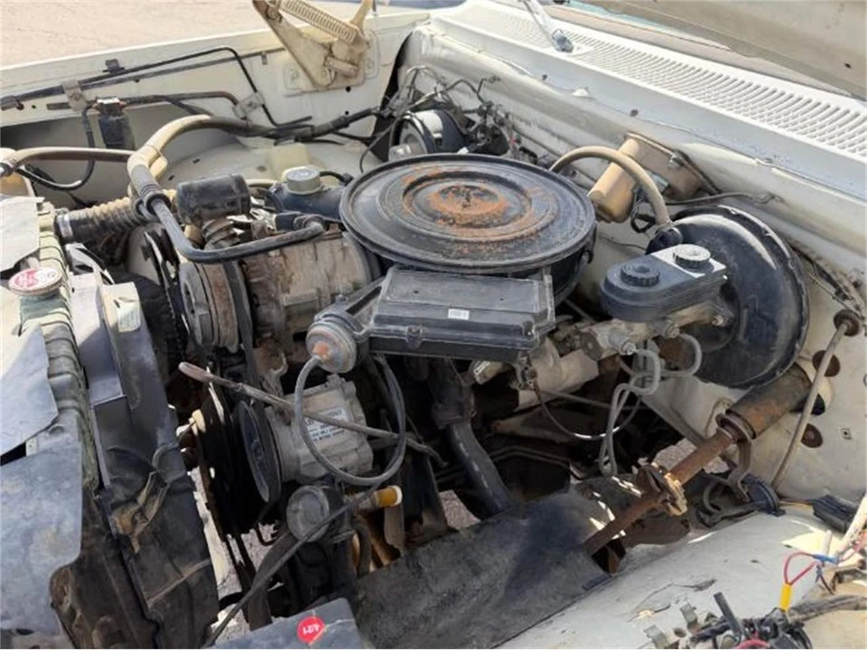 1984 Dodge D Series - Image 10 of 12
