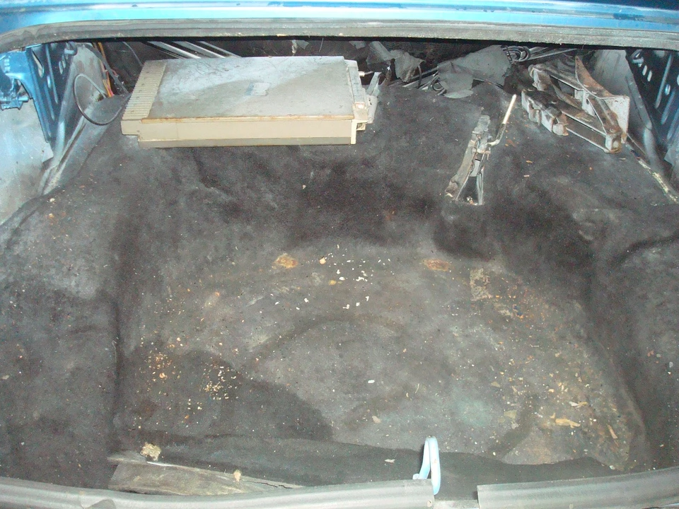 1984 Dodge Diplomat - Image 11 of 15