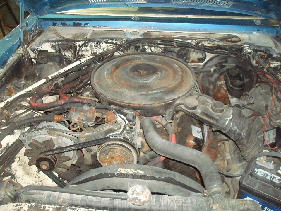 1984 Dodge Diplomat - Image 3 of 15