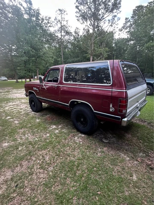 1984 Dodge Ramcharger - Image 12 of 15