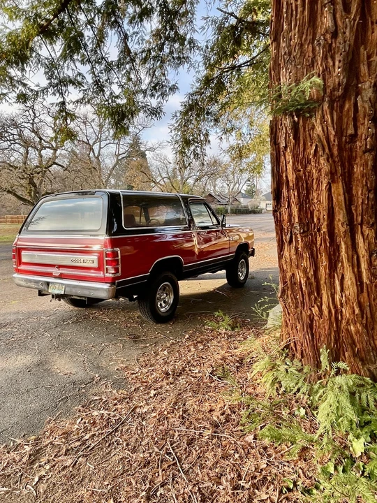 1984 Dodge Ramcharger - Image 9 of 31