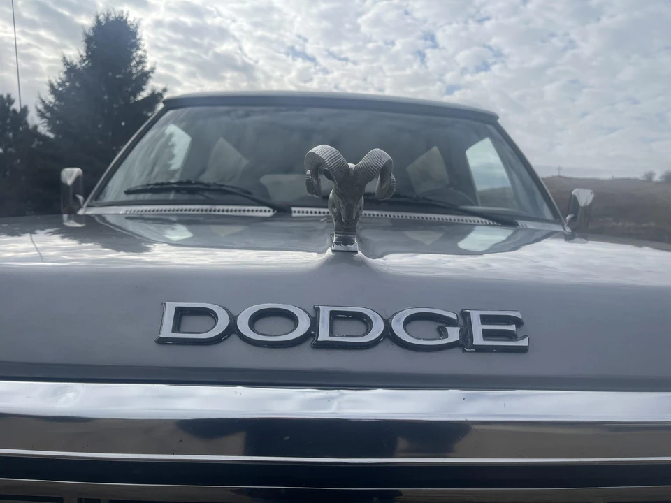 1984 Dodge Ramcharger - Image 20 of 31