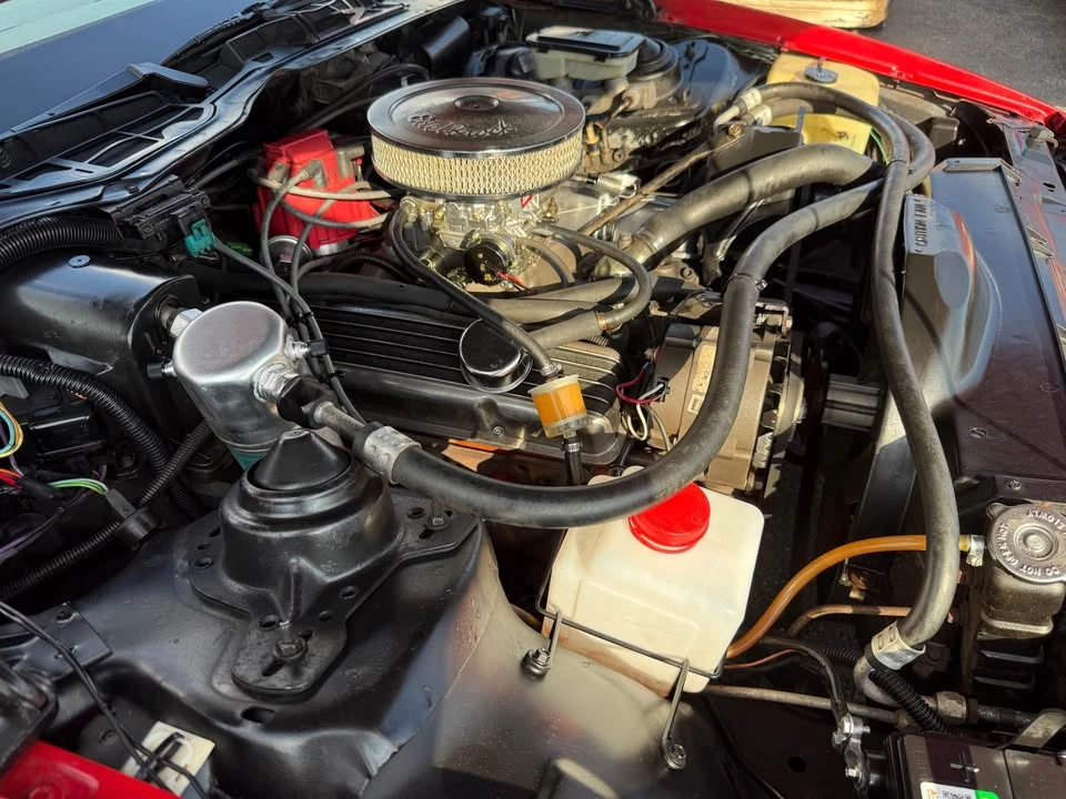 1984 Ferrari Testarossa - Image 19 of 20