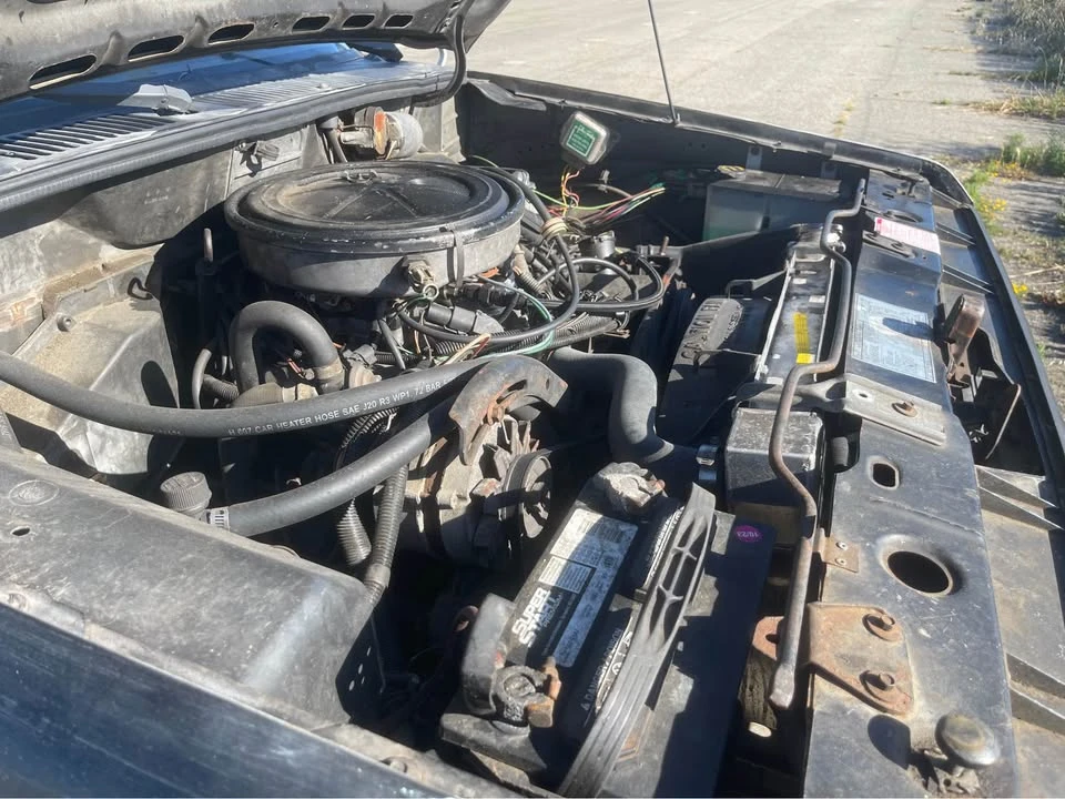 1984 Ford Bronco II - Image 12 of 13