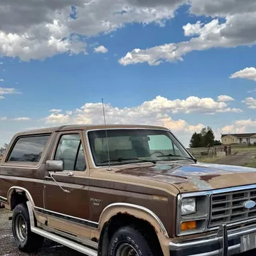 1984 Ford Bronco