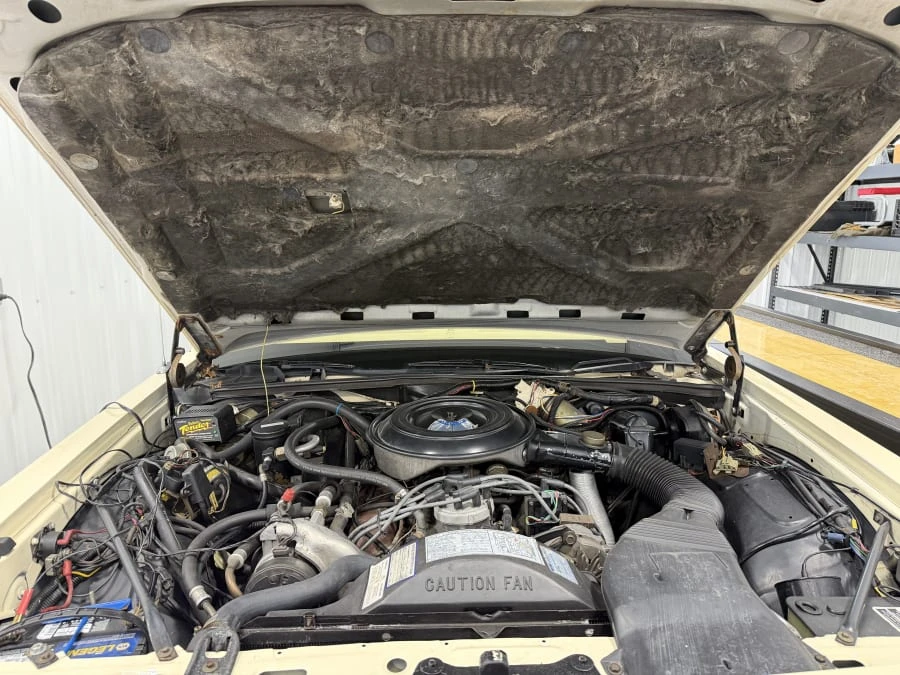 1984 Ford LTD - Image 29 of 31