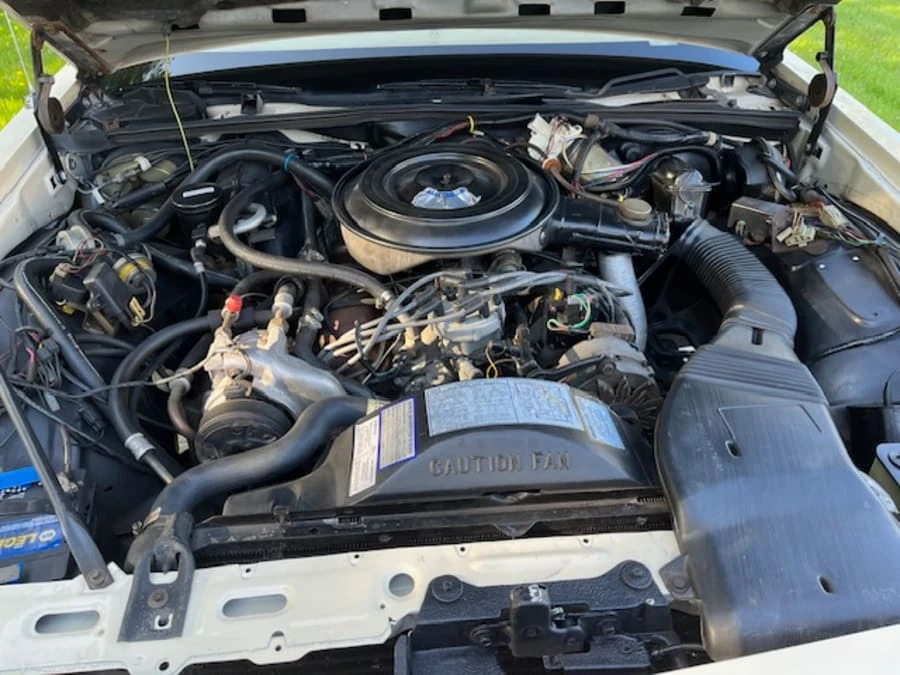 1984 Ford LTD - Image 15 of 16