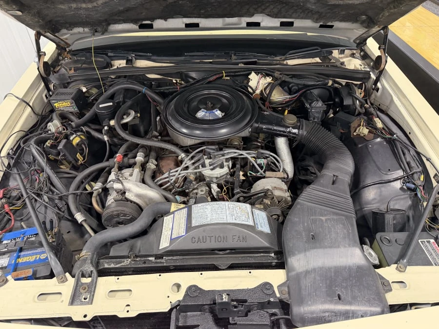 1984 Ford LTD - Image 31 of 31