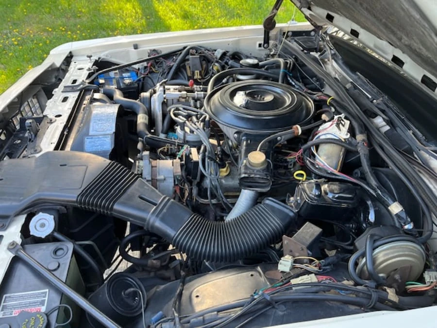 1984 Ford LTD - Image 16 of 16