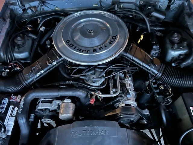 1984 Ford Mustang 3rd Gen - Image 12 of 21