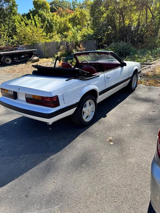 1984 Ford Mustang 3rd Gen - Image 5 of 5