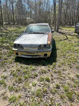 1984 Ford Mustang 50
