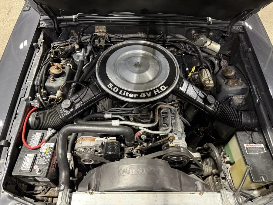 1984 Ford Mustang 3rd Gen - Image 7 of 7