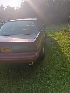 1984 Ford Mustang Coupe 2D