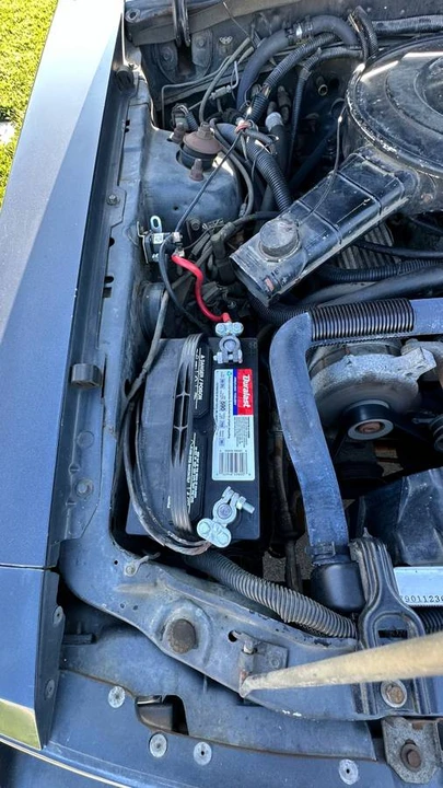1984 Ford Mustang GT 3rd Gen - Image 14 of 15