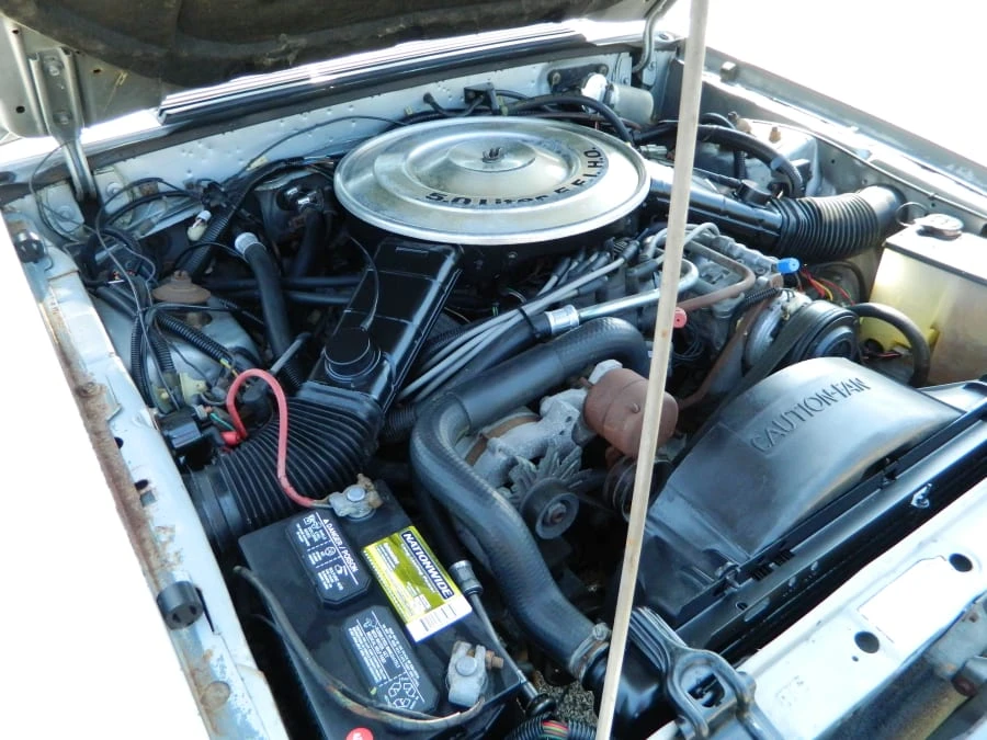 1984 Ford Mustang GT 3rd Gen - Image 8 of 8