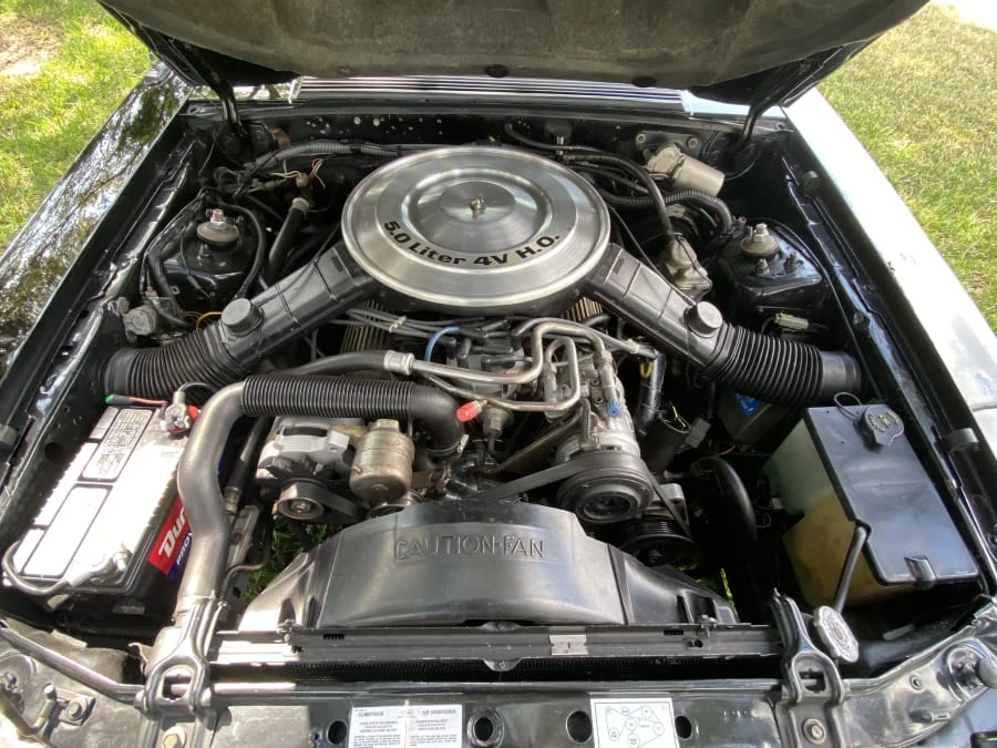 1984 Ford Mustang GT 3rd Gen - Image 18 of 21