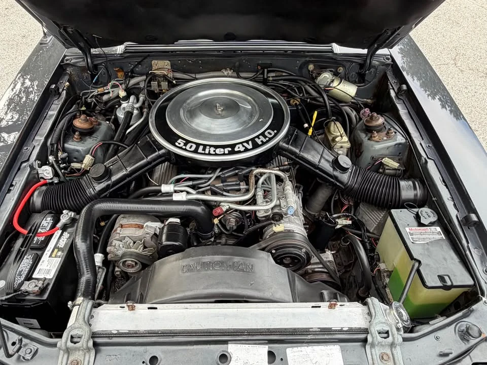 1984 Ford Mustang GT 3rd Gen - Image 15 of 17