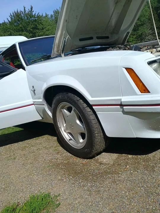 1984 Ford Mustang GT 3rd Gen - Image 13 of 14