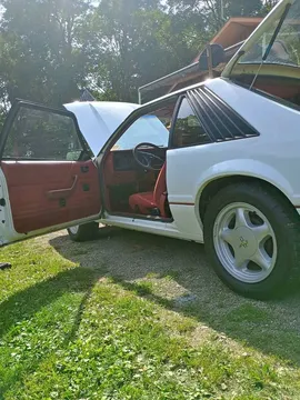 1984 Ford Mustang GT Hatchback 2D