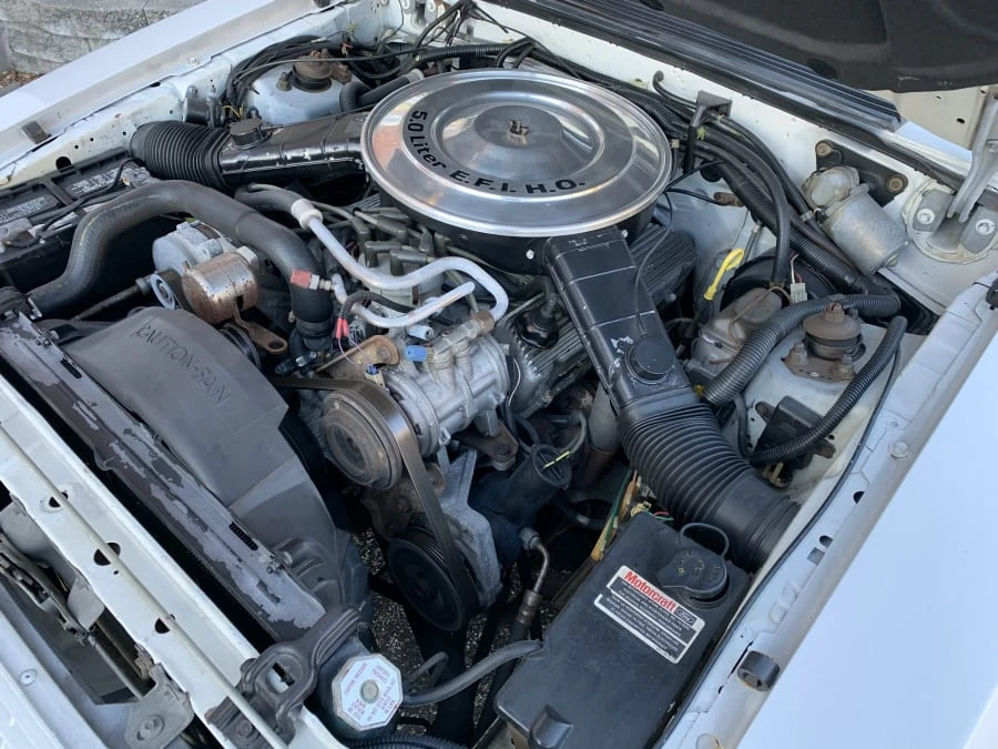 1984 Ford Mustang GT 3rd Gen - Image 6 of 7