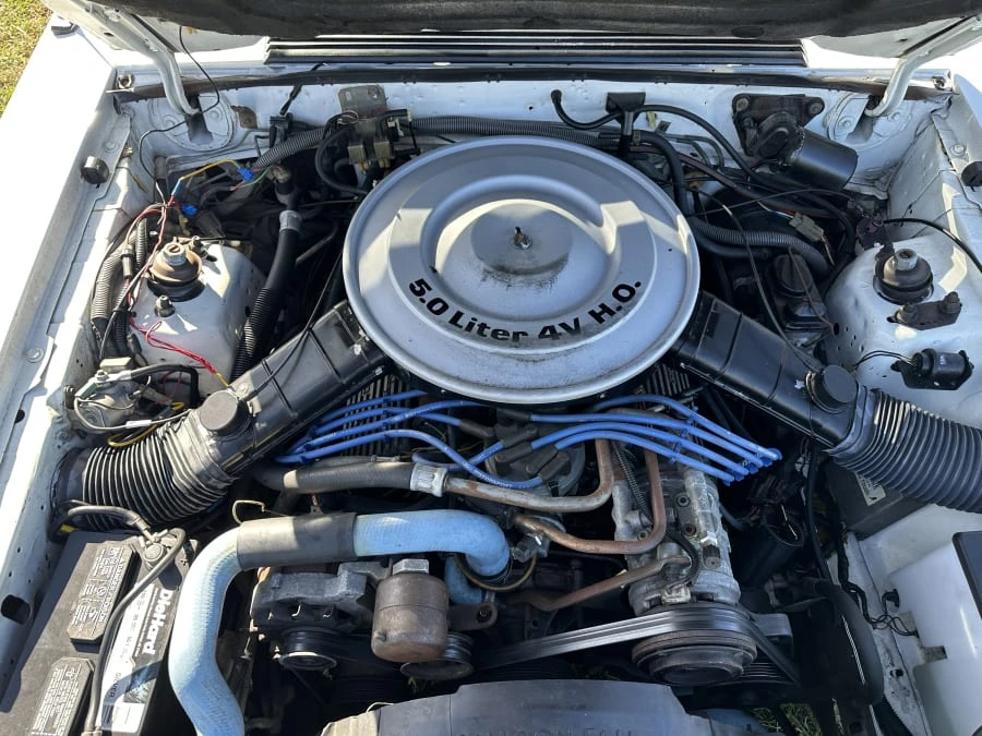 1984 Ford Mustang GT 3rd Gen - Image 6 of 6
