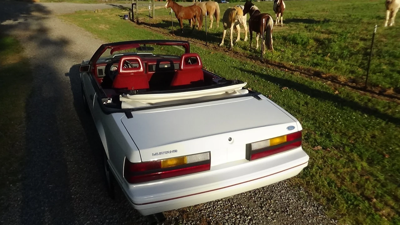 1984 Ford Mustang GT 3rd Gen - Image 6 of 28