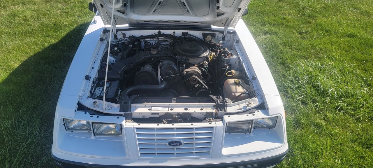 1984 Ford Mustang 3rd Gen - Image 15 of 23