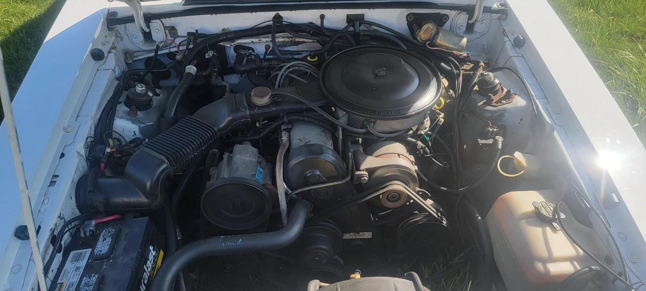 1984 Ford Mustang 3rd Gen - Image 16 of 23