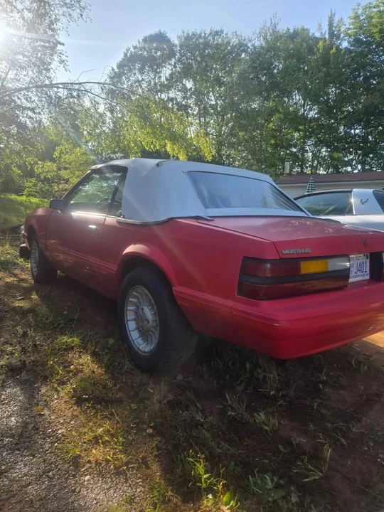 1984 Ford Mustang 3rd Gen - Image 4 of 5