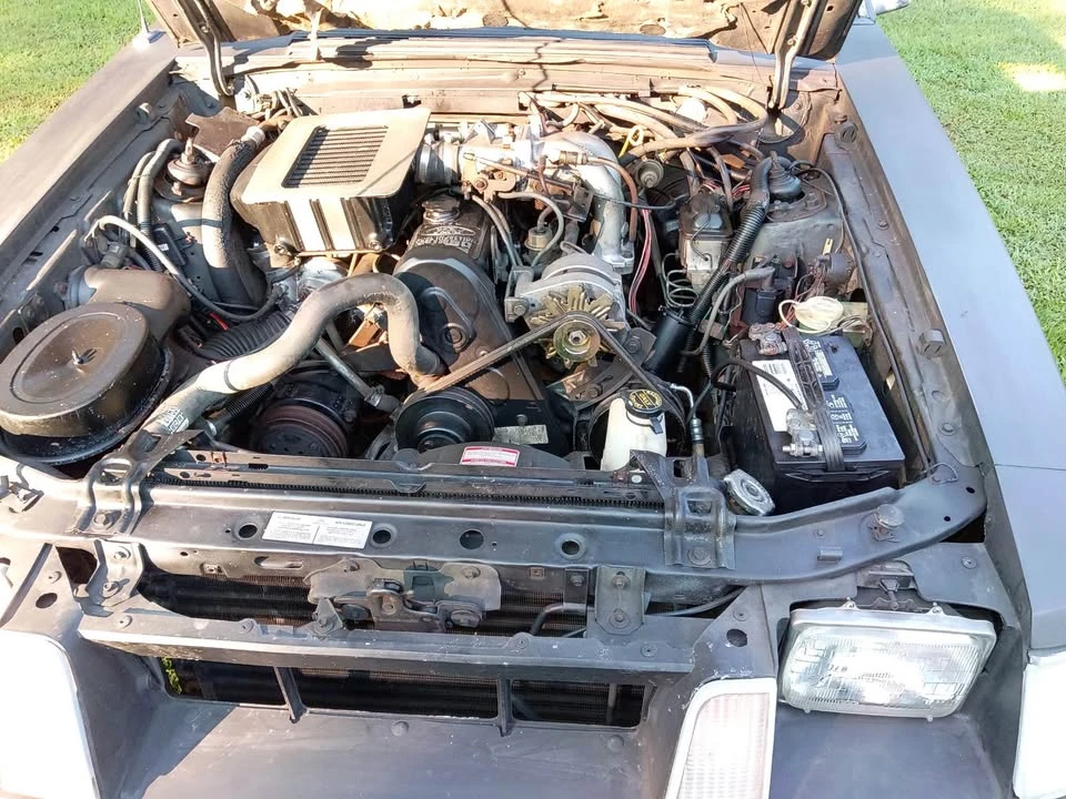 1984 Ford Mustang SVO 3rd Gen - Image 2 of 7