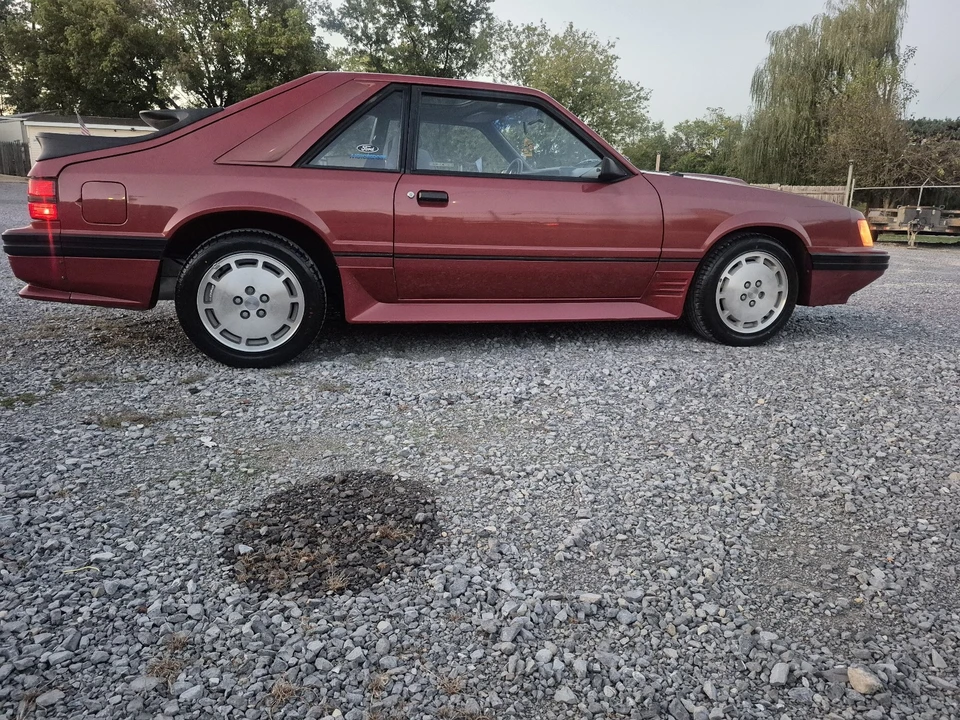 1984 Ford Mustang SVO 3rd Gen - Image 6 of 21