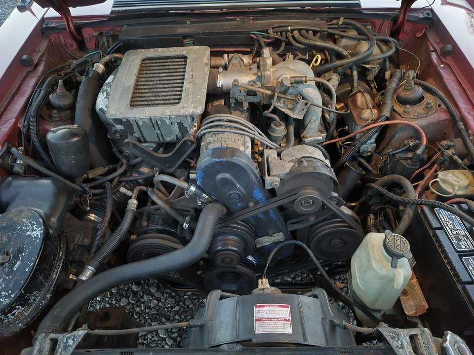 1984 Ford Mustang SVO 3rd Gen - Image 20 of 21
