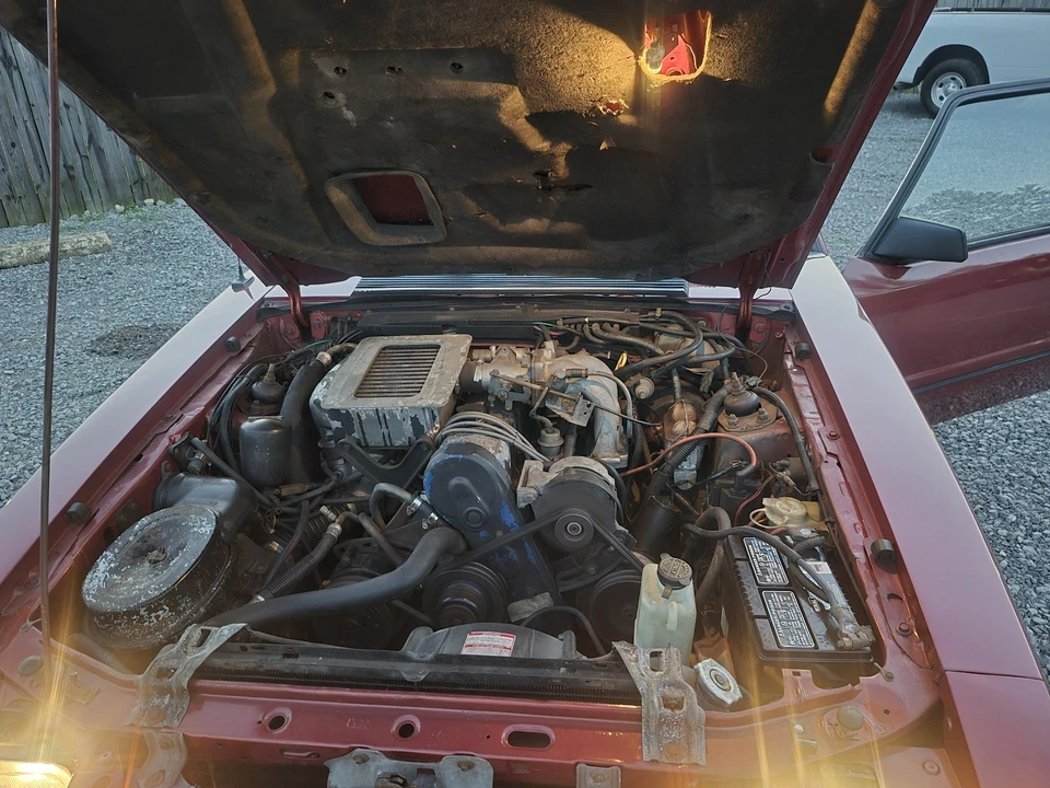 1984 Ford Mustang SVO 3rd Gen - Image 19 of 21