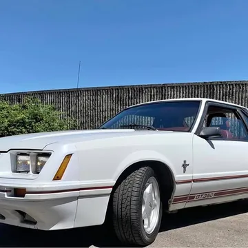 1984 Ford Mustang Shelby GT350 Coupe 2D