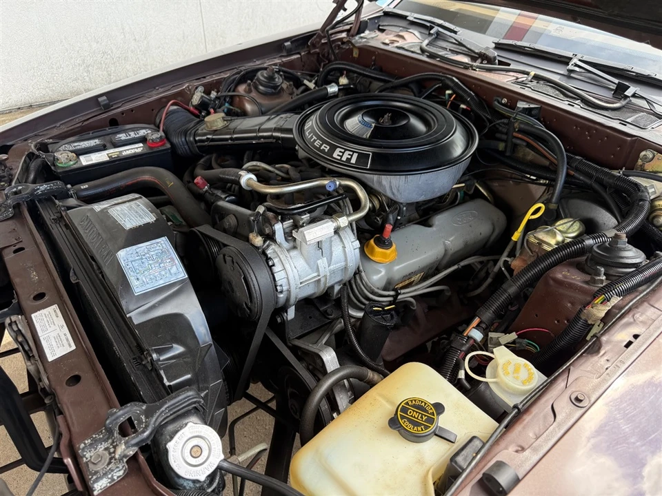 1984 Ford Thunderbird 9th Gen - Image 10 of 16